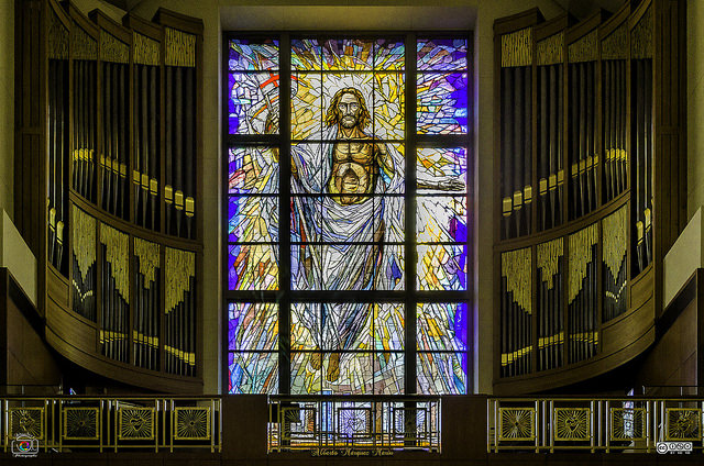 cathedral sacred heart houston